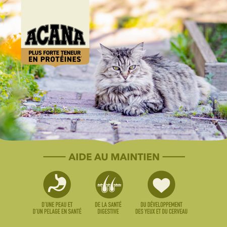 Acana - Cat Food with Higher Protein Content, Grasslands