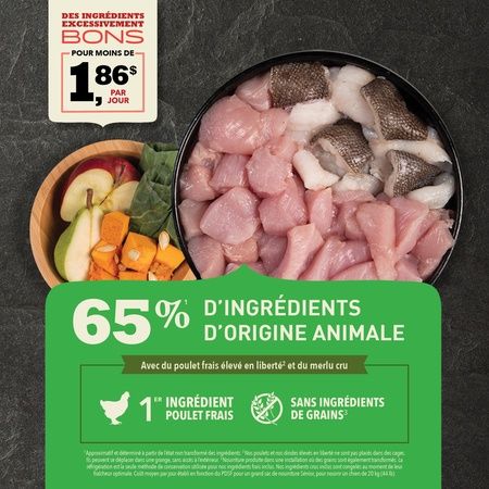 Acana - Senior Recipe Dog Food