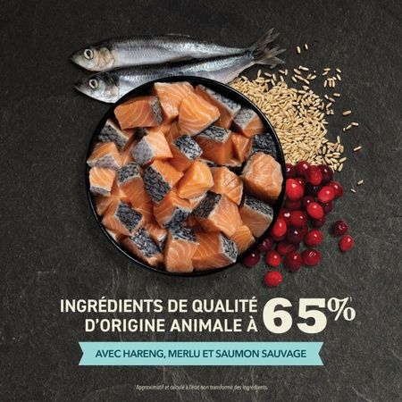 Acana - Cat Food Abundant Fish