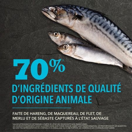 Acana - High Protein Recipe Dog Food, Pacifica