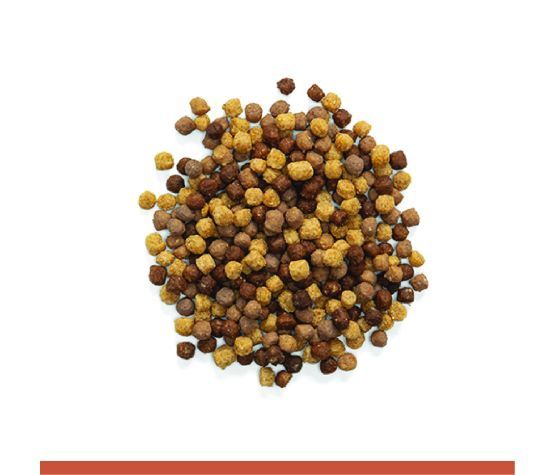 Zupreem- &quot;nutblend&quot; Nourriture Pour Cockatiel, Inséparables &amp; Moyens Oiseaux 2lbs