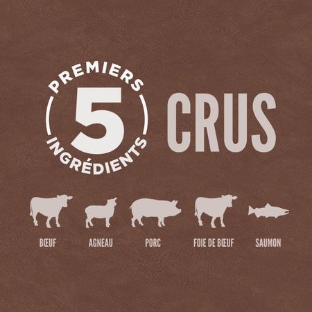 Orijen- nourriture pour chien Régional Red