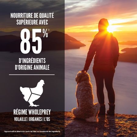 Orijen- nourriture pour chien senior 11.4kg