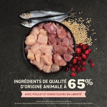 Acana - Indoor Feast Cat Food