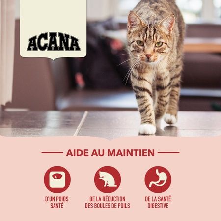 Acana - Indoor Feast Cat Food