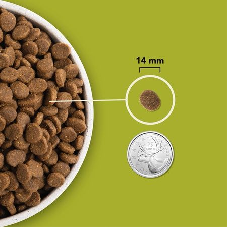 Acana - High Protein Recipe Dog Food, Grasslands