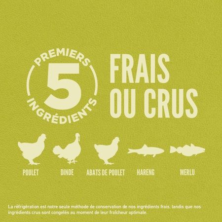 Orijen- nourriture pour chien senior 11.4kg