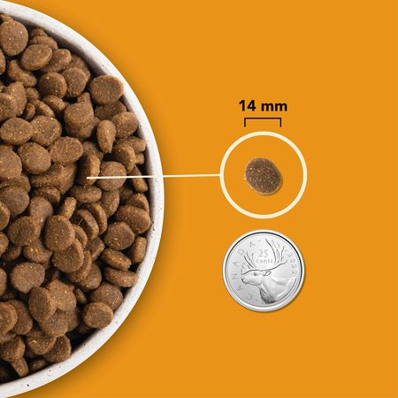 Acana - High Protein Recipe Dog Food, Wild Prairie