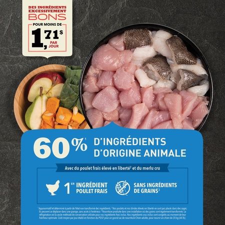 Acana - Adult Recipe Food All Breeds