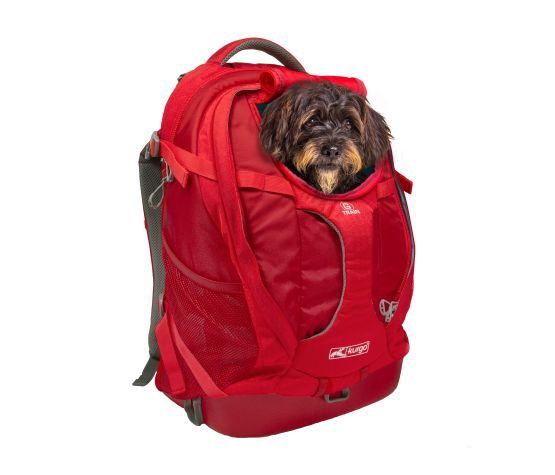 Kurgo - Sac à Dos G-train, Porte-chien, Jusqu'à 25lbs