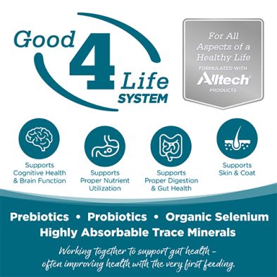 NutriSource - Conserve, Poulet sans grains, 12.3oz