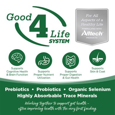 NutriSource - Conserve, Dinde &amp; Riz, 12.3oz