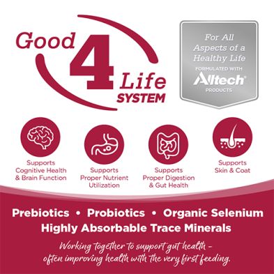 NureiSource - Conserve Poulet, Agneau &amp; poisson d&#39;océan, 12.3oz