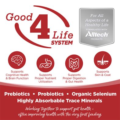 NutriSource - Conserve, Purevita, Ingrédients Limités, Entrée de boeuf, 12.3oz