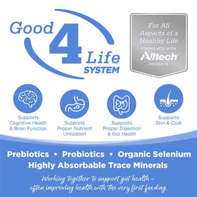 NutriSource - Conserve, Purevita, Ingrédients Limités, Entrée de dinde, 12.3oz