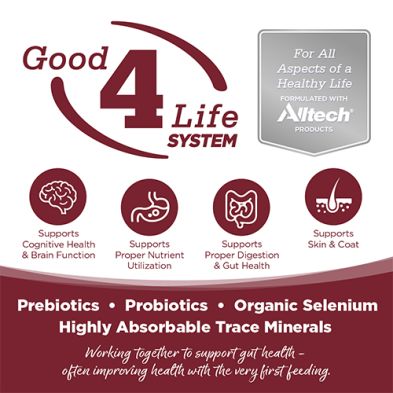 NutriSource - Conserve, Boeuf &amp; Riz, 12.3oz