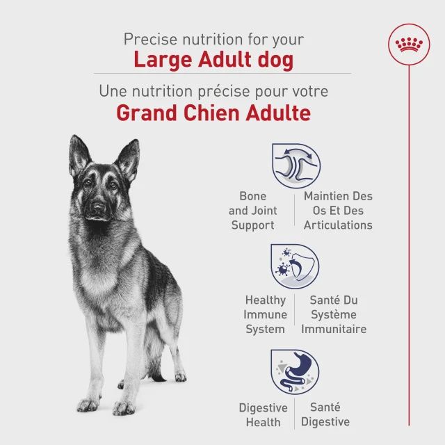 Royal Canin- Adulte de grande race