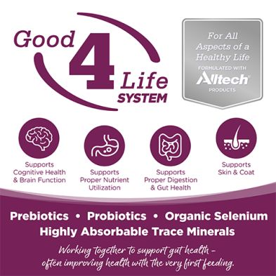 Purevita, Ingrédients Limités, Entrée de porc, 12.3oz