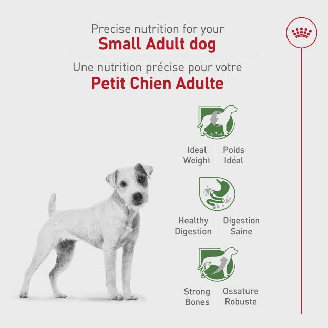 Royal Canin- Adulte pour petite race