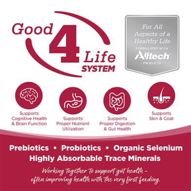 NutriSource - Conserve, Seafood Select, Sans grains, 12.3oz