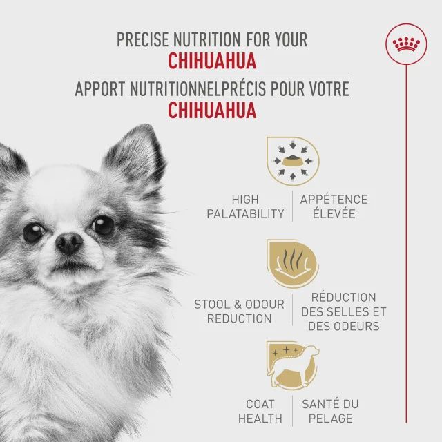 Royal Canin- Recette pour Chihuahua adulte