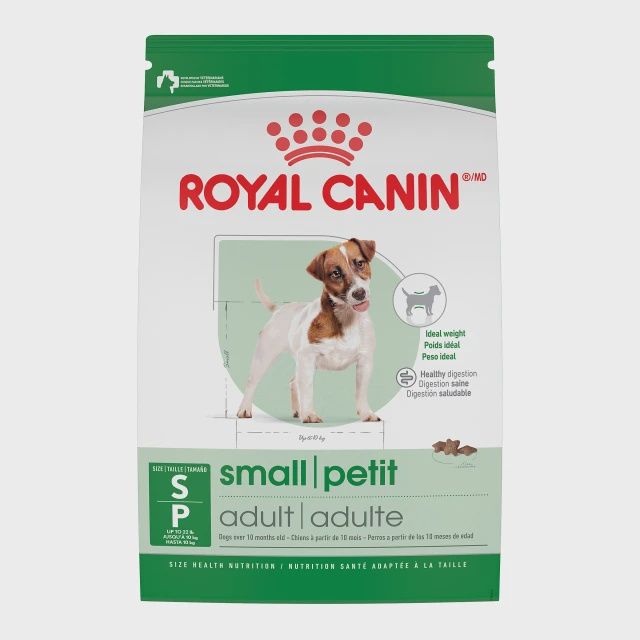Royal Canin- Adulte pour petite race
