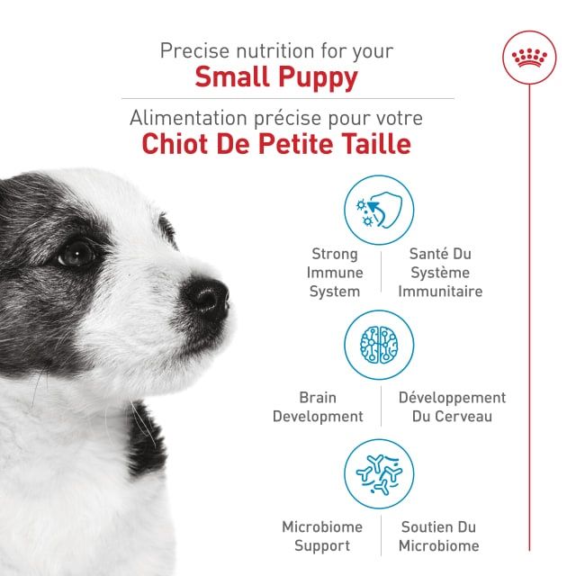 Royal Canin- Chiot pour petite race