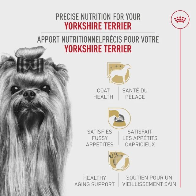 Royal Canin- Recette pour Yorkshire Terrier adulte