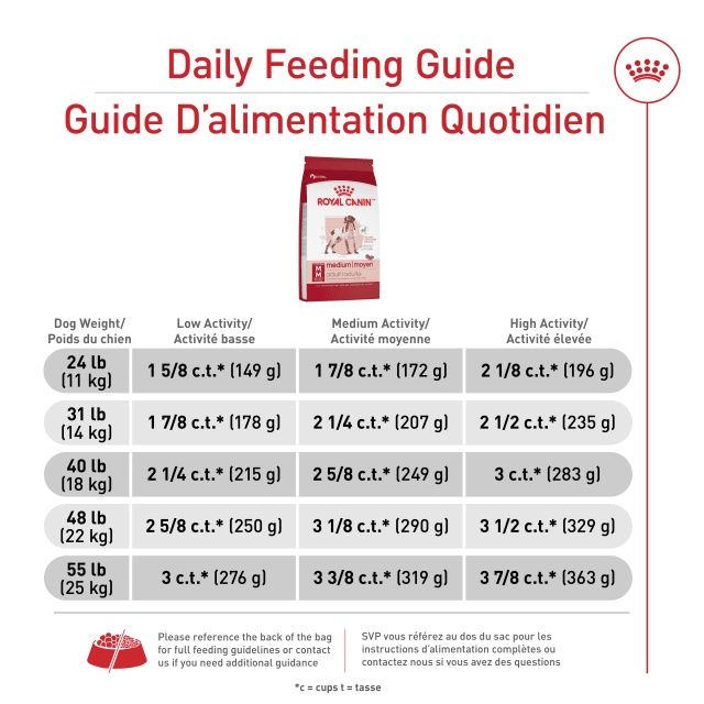 Royal Canin- Adulte de moyenne race