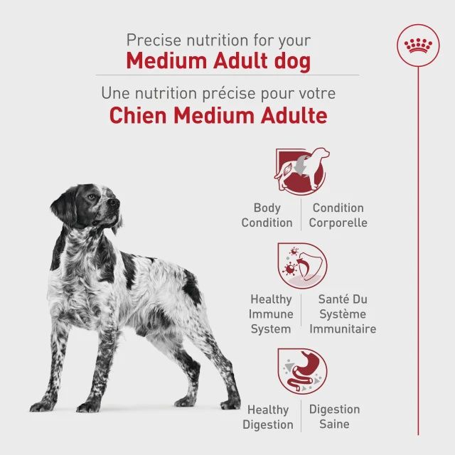 Royal Canin- Adulte de moyenne race