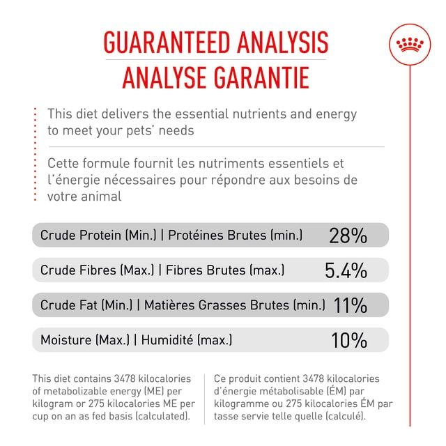 Royal Canin- Recette pour Labrador adulte