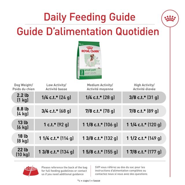 Royal Canin- Adulte pour petite race