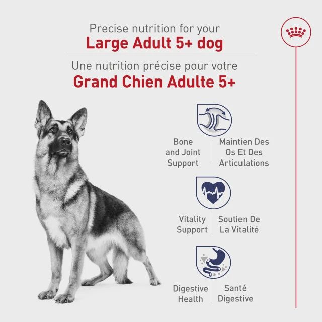 Royal Canin- Recette grande race 5 et + 30lbs