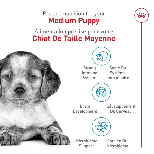 Royal Canin- Chiot de moyenne race