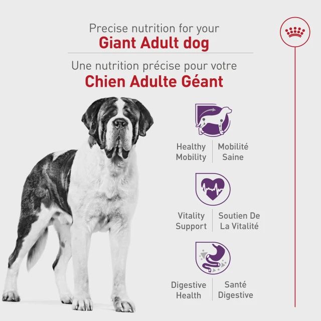 Royal Canin- Race géante  adulte 30lbs