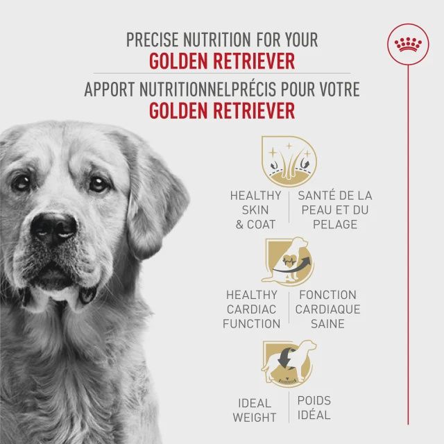 Royal Canin- Recette pour Golden Retriever adulte 30lbs