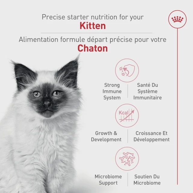 Royal Canin - Chaton