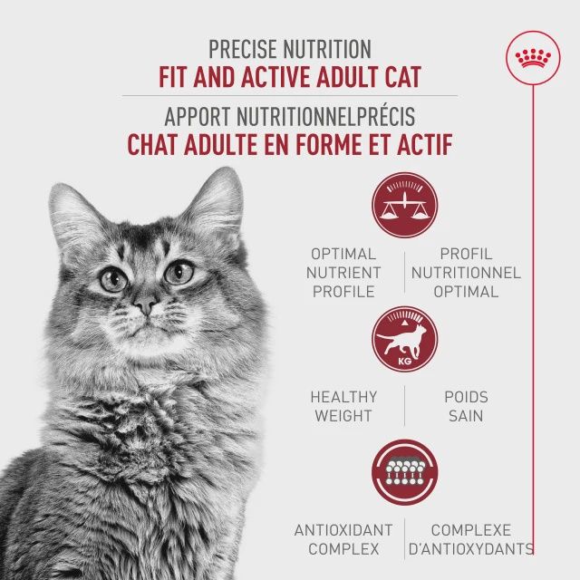 Royal Canin- Adulte forme et actif