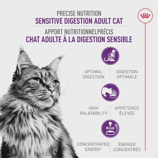 Royal Canin- Chat soin digestion sensible