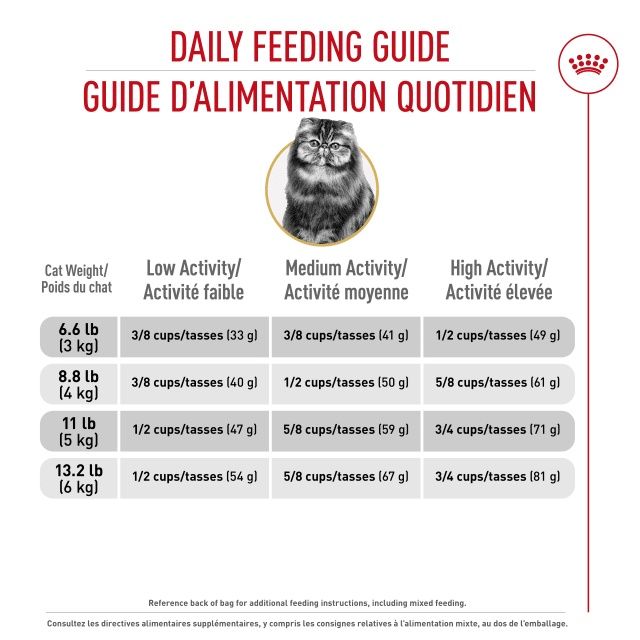 Royal Canin- Chat race Persan adulte