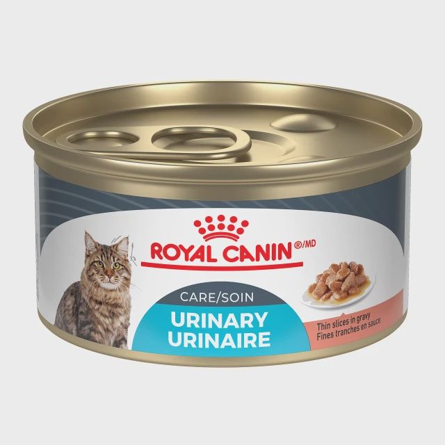 Royal Canin- Chat soin urinaire fines tranches en sauce, format: 85gr