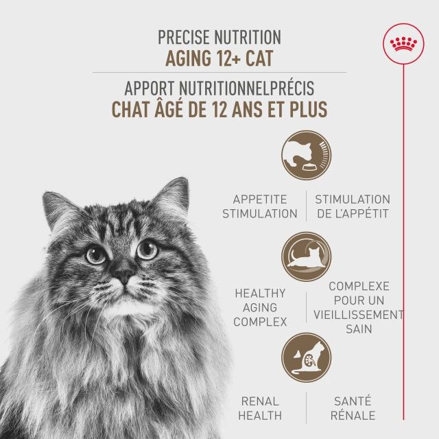 Royal Canin- Chat âgé 12+ 6lbs