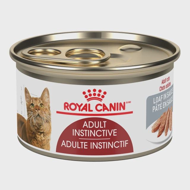 Royal Canin- Chat adulte instinctif pâté en sauce, format: 85gr