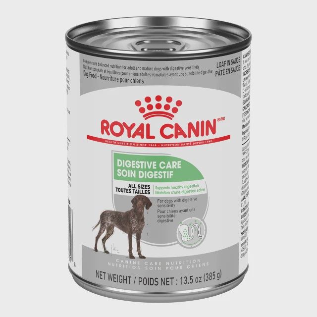 Royal Canin- chien soin digestif pâté en sauce 385gr