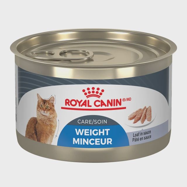 Royal Canin- Chat soin minceur pâté en sauce 85gr