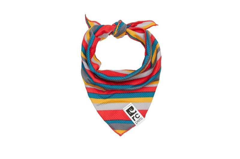 RCPets - Bandana de Refroissement Zephyr