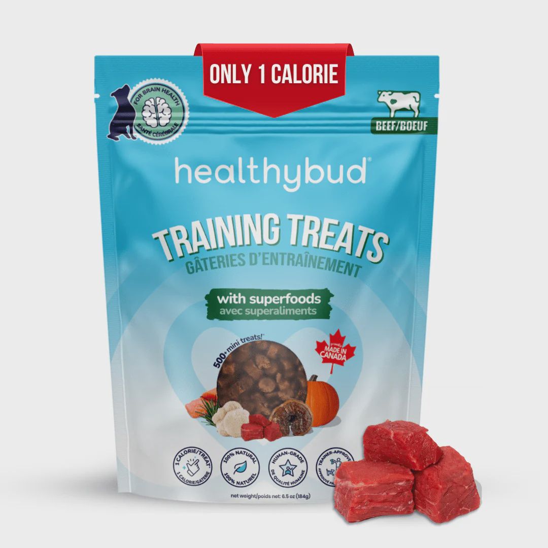 HealthyBud - Mini Training Treats for Dogs 6.5oz, saveur: Boeuf