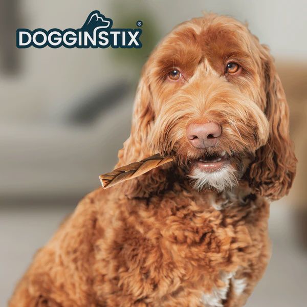 DOGGINSTIX - Lamb Collagen Braid