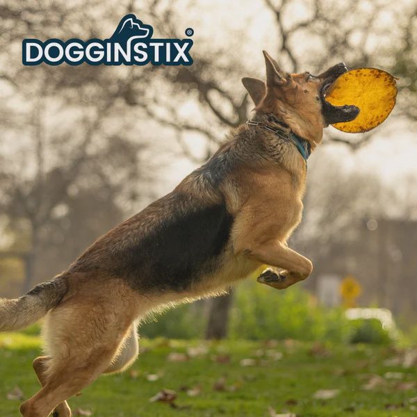 DOGGINSTIX- Beef Collagen Disc &#39;&#39;UFO&#39;&#39;