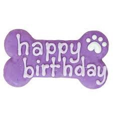 Bosco and Roxy - Holiday Biscuit